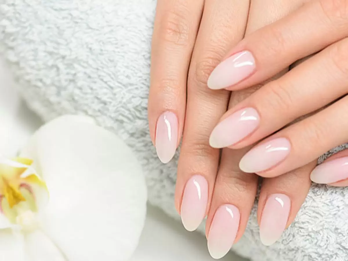 Beylikova Protez Tırnak